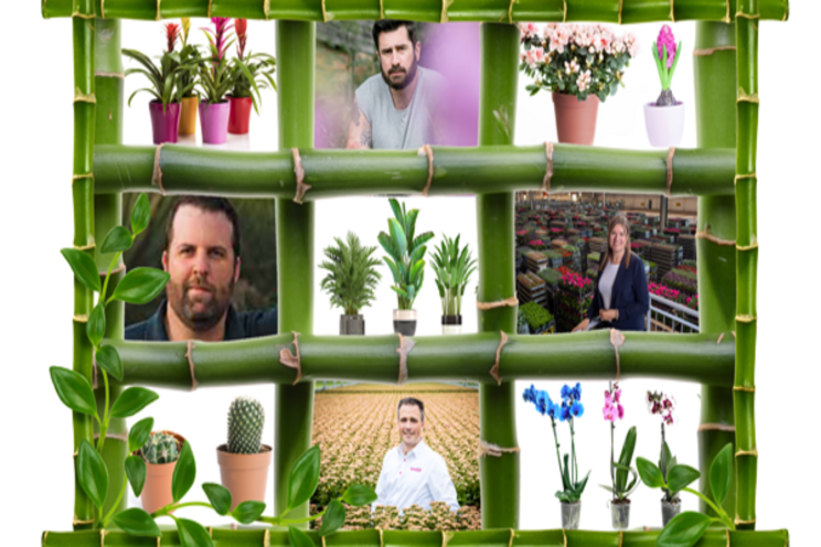 Webinar | How to capitalise on the recent houseplant trend Webinar | How to capitalise on the recent houseplant trend