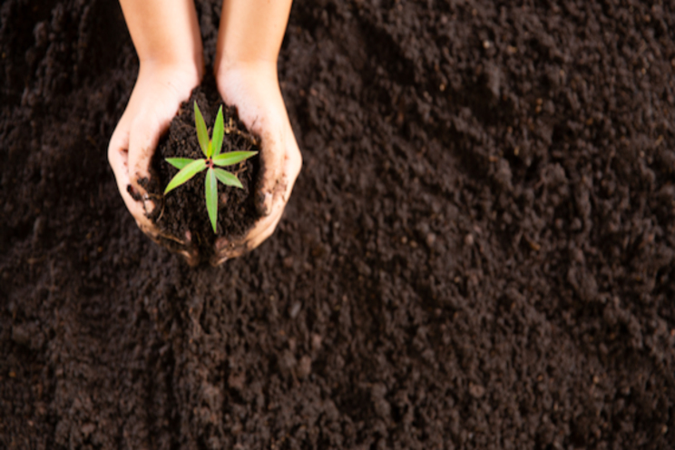 The first Agtech Accelerator to become a reality The first Agtech Accelerator to become a reality