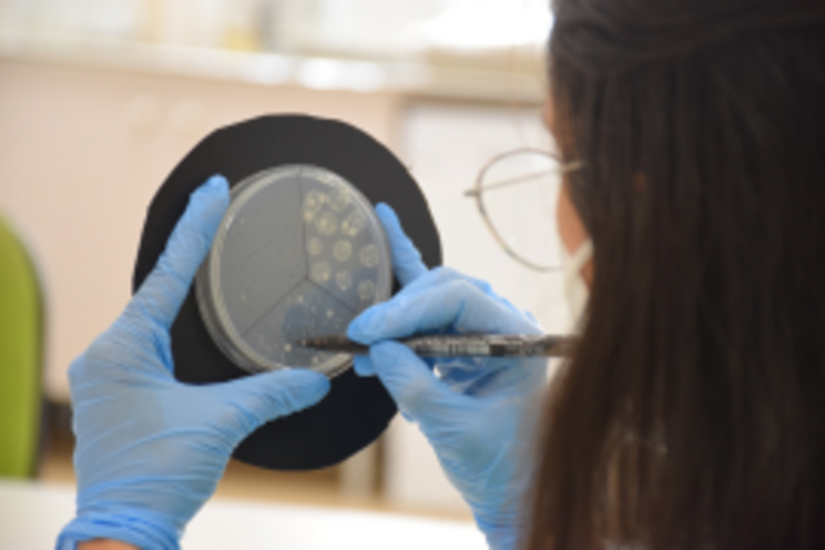 The new soil energizer that boosts microbial flora The new soil energizer that boosts microbial flora