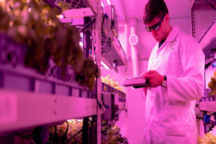 Digitizing agriculture: What innovations are coming? Digitizing agriculture: What innovations are coming?