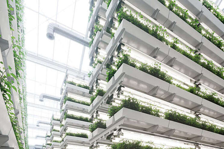 Bowery raises $300M for indoor farming Bowery raises $300M for indoor farming