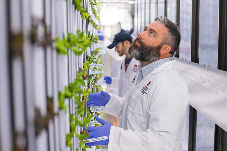 High-tech shipping containers to grow produce High-tech shipping containers to grow produce