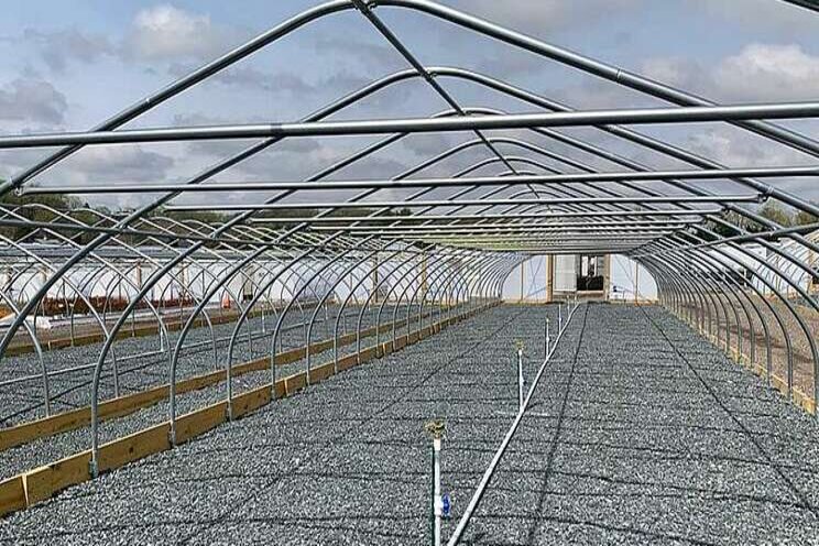 Plant shortages are the hort industry's biggest problem Plant shortages are the hort industry's biggest problem