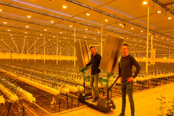 The innovative rose harvesting trolleys The innovative rose harvesting trolleys