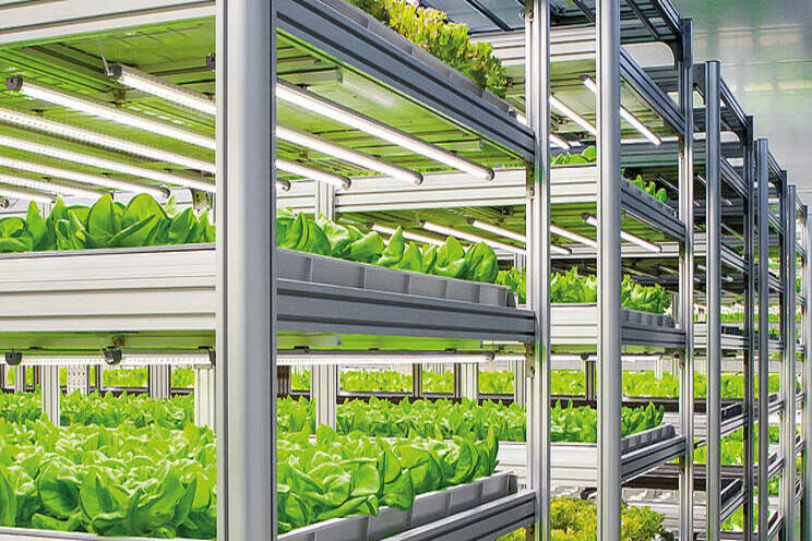 Vertical farming system market is booming worldwide Vertical farming system market is booming worldwide