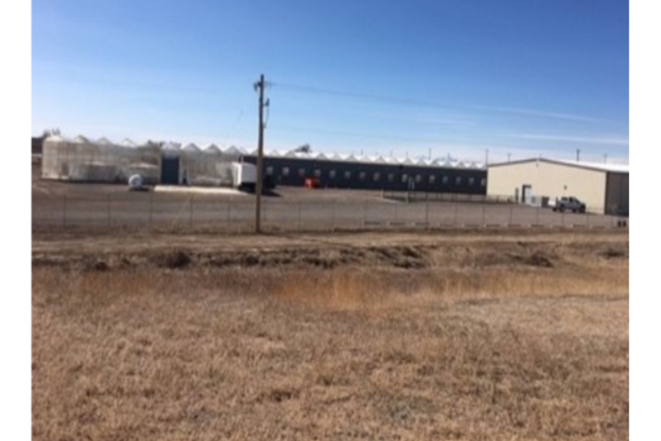 VetaNova acquires 157-acre Colorado greenhouse complex VetaNova acquires 157-acre Colorado greenhouse complex