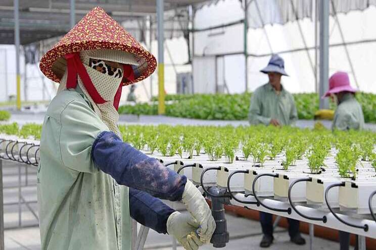 S. Asia looks to Israeli tech to improve farming S. Asia looks to Israeli tech to improve farming