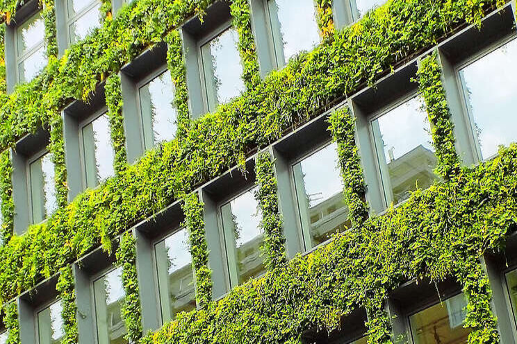 Webinar report- A convincing and inspiring case for city greening Webinar report- A convincing and inspiring case for city greening