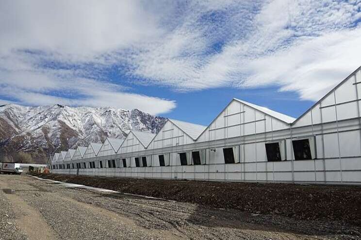 Lessons learned from new greenhouse projects Lessons learned from new greenhouse projects