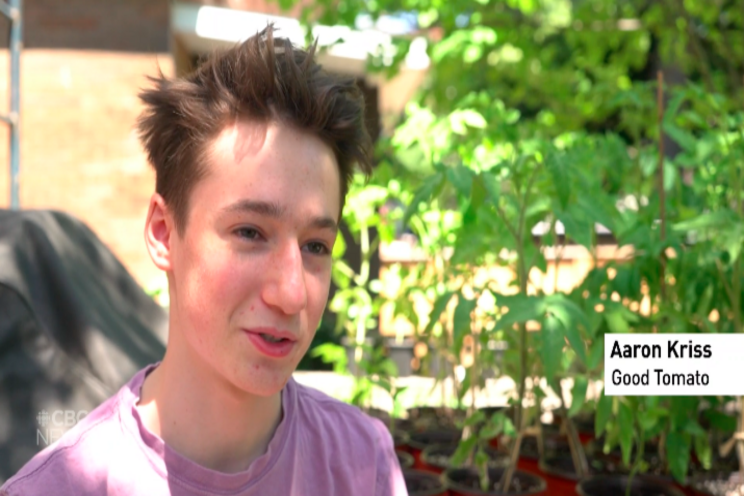 16-year-old urban farmer is growing nearly 100 tomato plants 16-year-old urban farmer is growing nearly 100 tomato plants