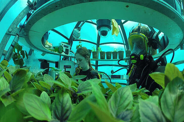 8 of the world's most unique farming systems 8 of the world's most unique farming systems