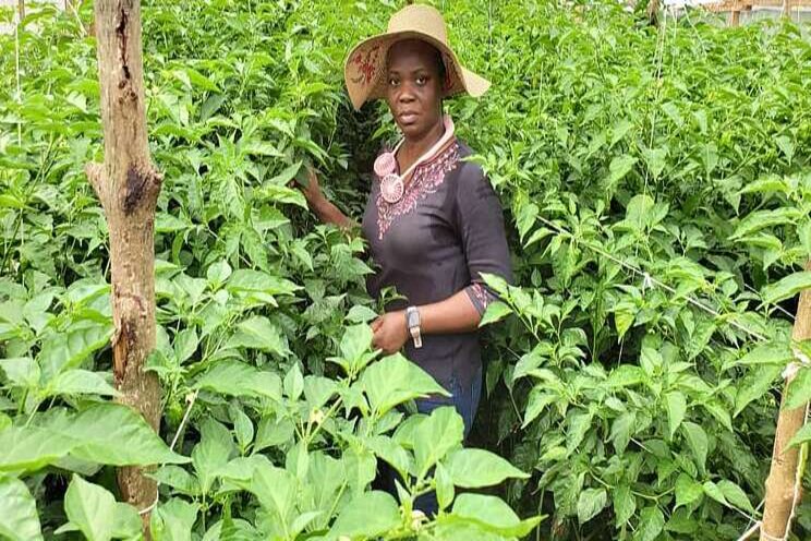 Women to use greenhouse farming to grow exotic veggies Women to use greenhouse farming to grow exotic veggies