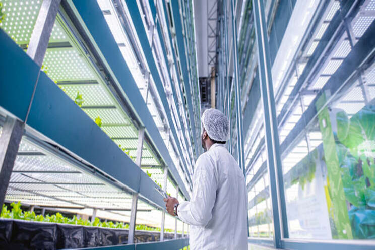 A primer on vertical farming as the industry gains steam A primer on vertical farming as the industry gains steam