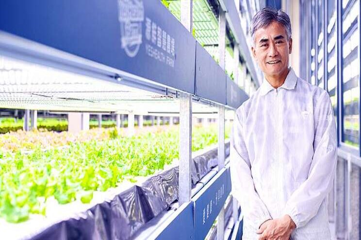 Will vertical farms upend conventional agriculture? Will vertical farms upend conventional agriculture?