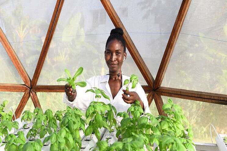 Reconnecting African communities with locally-grown food Reconnecting African communities with locally-grown food