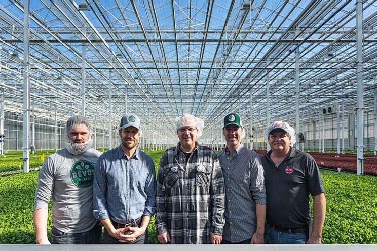 Revol Greens leads the way in lettuce innovation Revol Greens leads the way in lettuce innovation