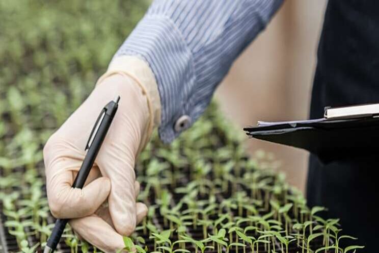 Selecta One acquires Helleborus breeding from Bock Bio Science Selecta One acquires Helleborus breeding from Bock Bio Science