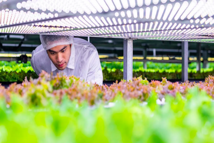 New theme on Hortibiz 'Vertical Farming' every Wednesday New theme on Hortibiz 'Vertical Farming' every Wednesday