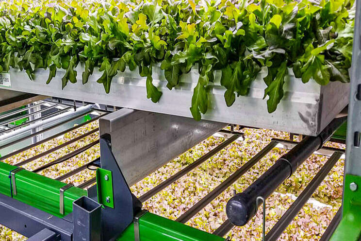 Indoor farming company Bowery raises $300M Indoor farming company Bowery raises $300M