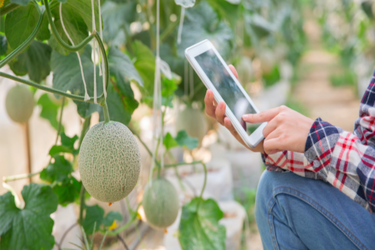South Korea to introduce smart farming technology to Jordan South Korea to introduce smart farming technology to Jordan