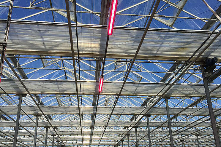 Transitioning your greenhouse from spring to summer Transitioning your greenhouse from spring to summer