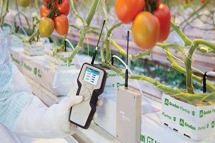 Every drop counts: valuing water in the greenhouse Every drop counts: valuing water in the greenhouse