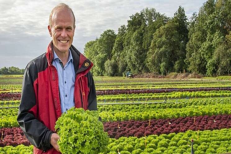 Rijk Zwaan lettuce varieties have resistance Rijk Zwaan lettuce varieties have resistance