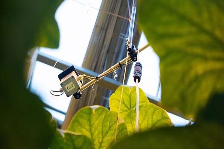 The future of horticulture: digitizing green knowledge The future of horticulture: digitizing green knowledge