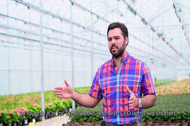 3 to 4 weeks faster with LED toplighting 3 to 4 weeks faster with LED toplighting