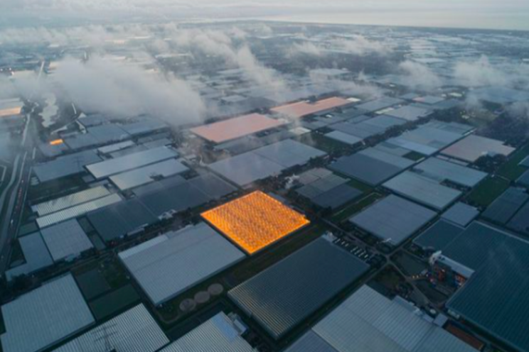 Westland, the most futuristic area for agro-technology Westland, the most futuristic area for agro-technology