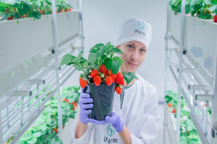 Next generation of sustainable vertical farming in Qatar Next generation of sustainable vertical farming in Qatar