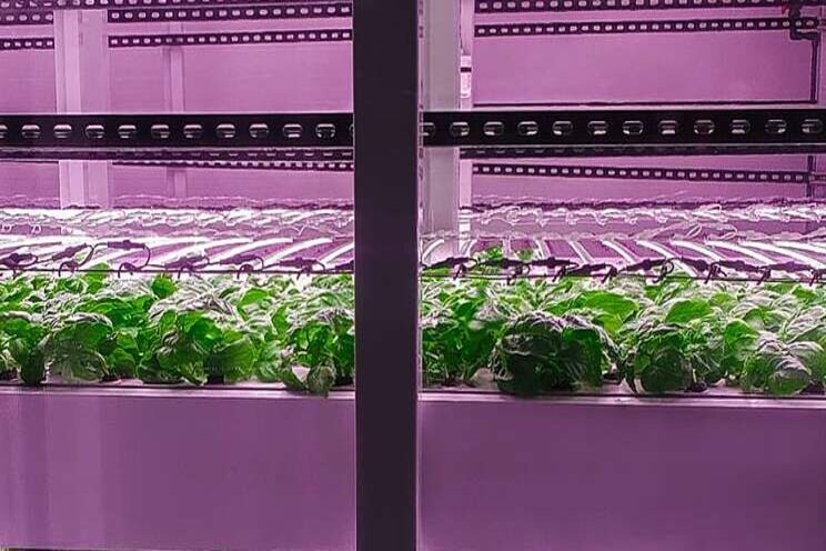 The collaboration on vertical farming initiative The collaboration on vertical farming initiative