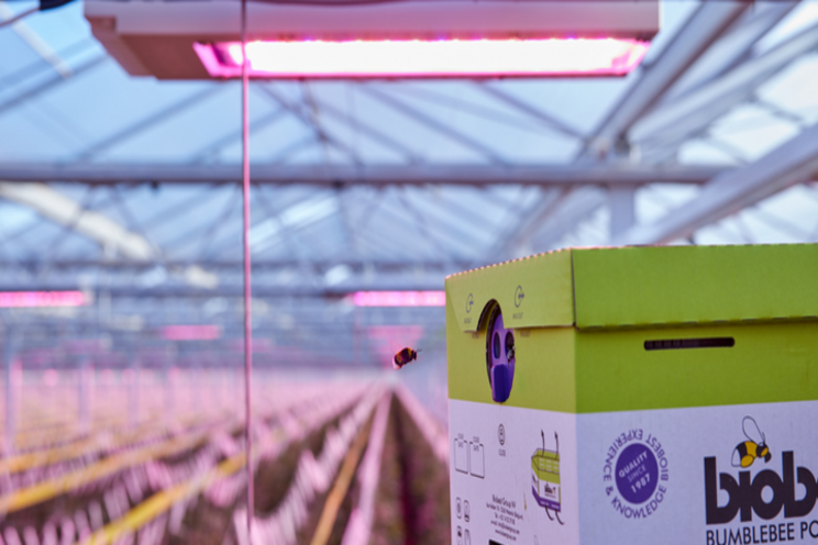Put premium lights on premium crops Put premium lights on premium crops