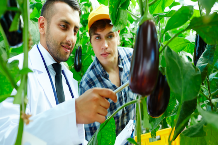 Latest research on indoor farming now just a click away Latest research on indoor farming now just a click away