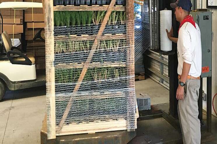 Pallet shortage update: Why the problem could linger Pallet shortage update: Why the problem could linger
