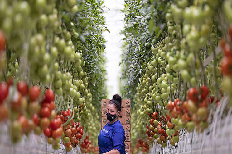 AppHarvest announces solid Q1 2021 results AppHarvest announces solid Q1 2021 results