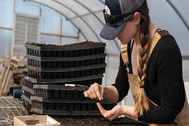 Innovation in plant breeding underpins sustainable farming Innovation in plant breeding underpins sustainable farming