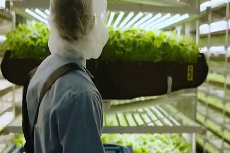 This Newark vertical farm is trying to fight food insecurity This Newark vertical farm is trying to fight food insecurity