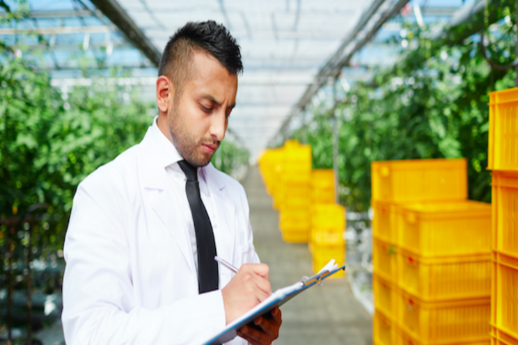 Control of root-rot disease in greenhouse trials Control of root-rot disease in greenhouse trials