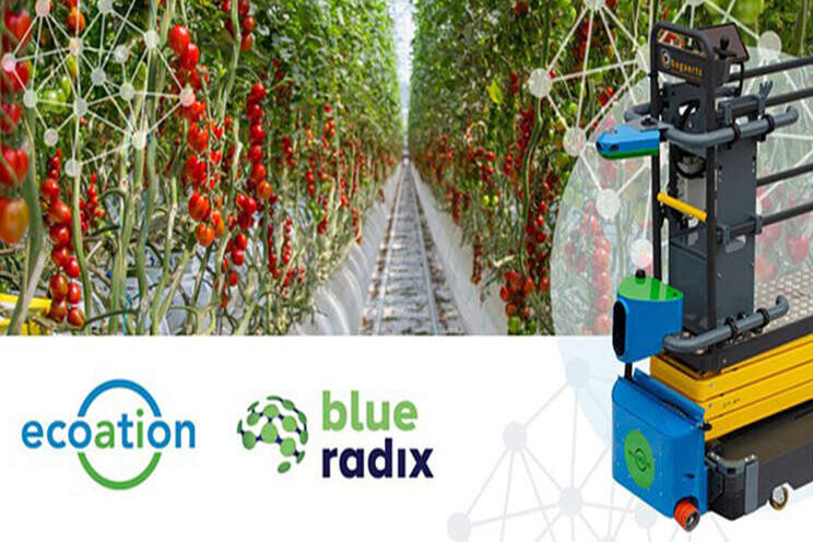 Blue Radix & ecoation create Autonomous Find & Fix Solution Blue Radix & ecoation create Autonomous Find & Fix Solution