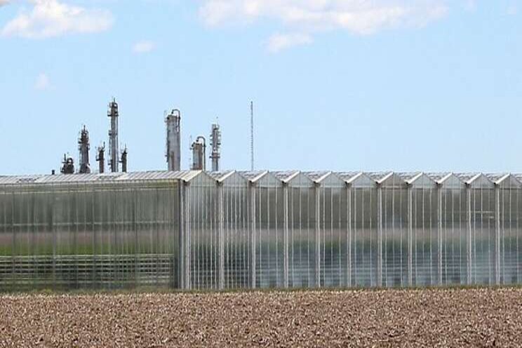 Chatham-Kent presses pause on new greenhouse developments Chatham-Kent presses pause on new greenhouse developments
