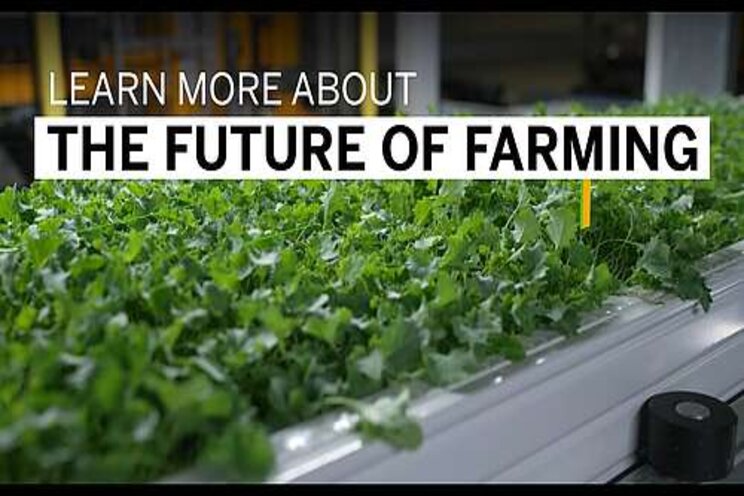 Vertical Farming: Sustainable food never tasted so good Vertical Farming: Sustainable food never tasted so good