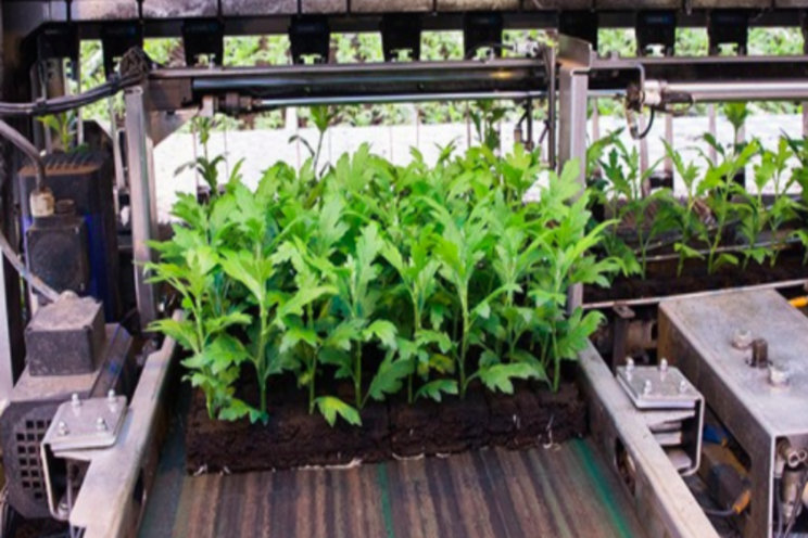 Top 5 robotics start-ups transforming Indian farm sector Top 5 robotics start-ups transforming Indian farm sector