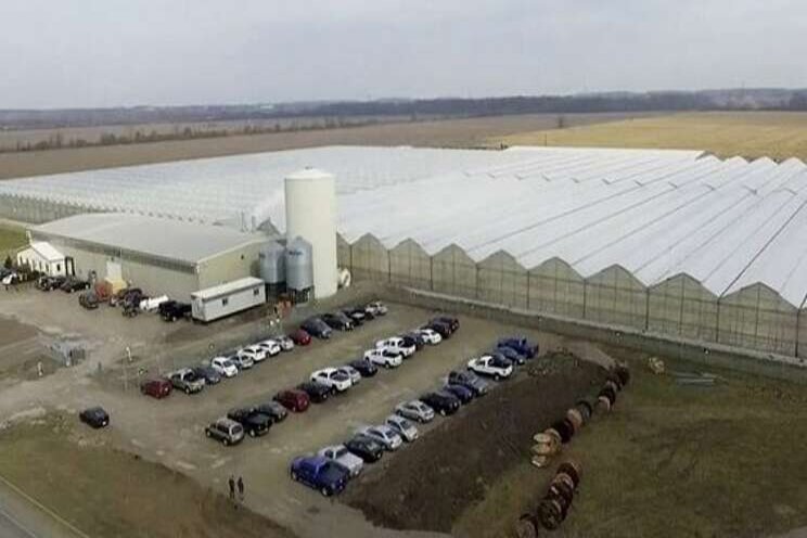 Tilray shutting down its cannabis greenhouse near Petrolia Tilray shutting down its cannabis greenhouse near Petrolia