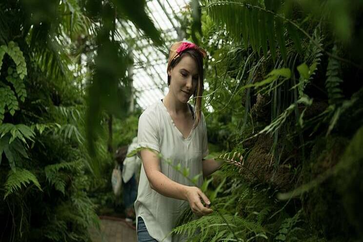 Will there be enough plants? Will there be enough plants?