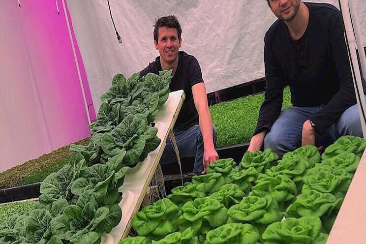 Floaters with the right growing media is key Floaters with the right growing media is key