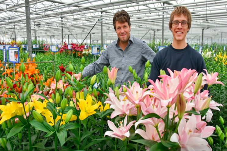 Tenth Dutch Lily Days postponed to 2022 Tenth Dutch Lily Days postponed to 2022