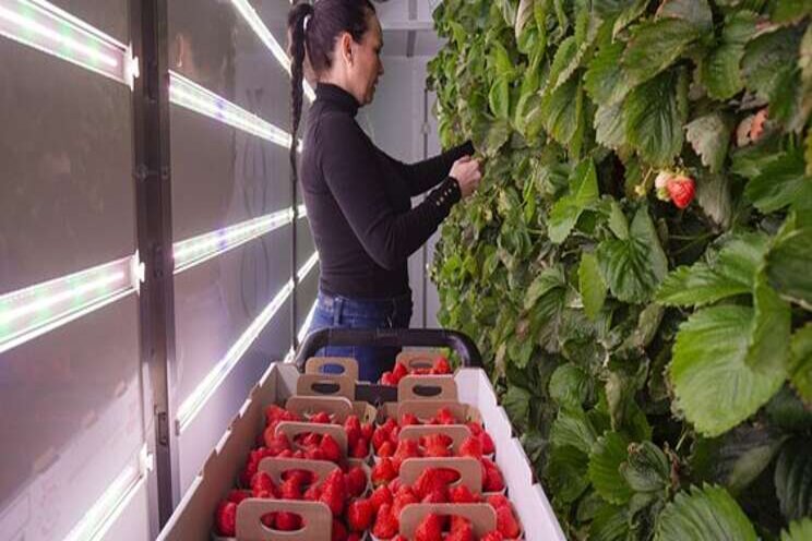 Moren than $150M spent to become self-sufficient Moren than $150M spent to become self-sufficient