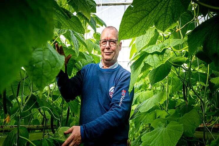 Organic cultivation with Ridder's climate screens Organic cultivation with Ridder's climate screens