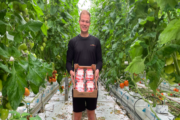 Phytorich Powerful Tomatoes available at DEEN supermarkets Phytorich Powerful Tomatoes available at DEEN supermarkets
